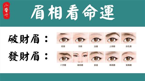 眉毛濃 面相|從眉毛看一個人的健康、財運、個性、愛情…太準了！。